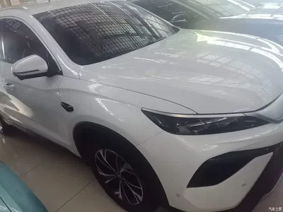 2025 BYD Song Pro New Energy 2nd Generation Smart Drive Edition DM-i 75KM Leading Type, фото 4, лот 10272682
