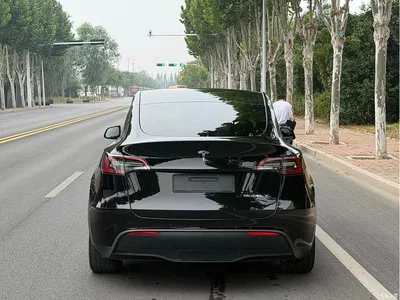 2023 Tesla Model Y Rear-Wheel Drive Edition, фото 4, лот 11137200