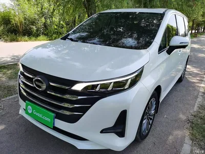 2019 GAC Trumpchi Trumpchi M6 270T DCT Prestige Edition (7-seater) (China VI), фото 1, лот 10421865