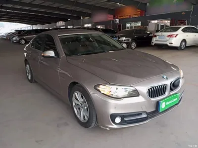 2015 BMW 5 Series (Import) 520i Elegance, фото 4, лот 10812613