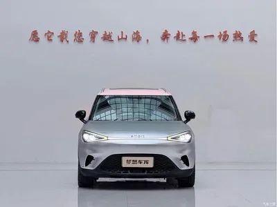 2023 smart Elf #1 Model Pro Edition, фото 2, лот 10343661