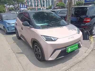 2024 BYD Seagull Glory Edition 305km Freedom Edition, фото 4, лот 10262981