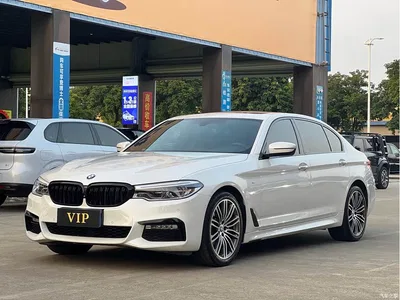 2018 BMW 5 Series Facelift 530Li Exclusive M Sport Package, фото 1, лот 11193175