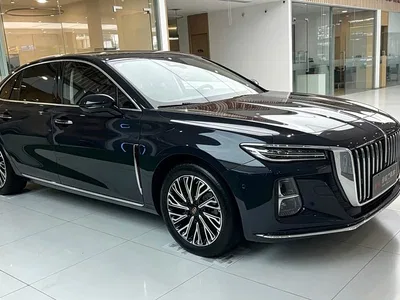 2024 Hongqi H5 2.0T Automatic Smart Connect Flag Leader Edition, фото 1, лот 10287136