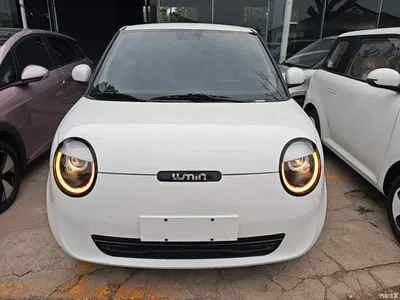 2025 Changan Qiyuan Changan Lumin 205km Fragrant Infusion Edition, фото 3, лот 10768747