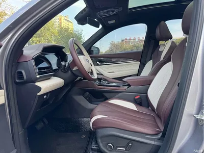 2024 Geely Xingyue L Model 2.0TD High-Power Automatic 2WD Skyline Edition, фото 4, лот 11248946
