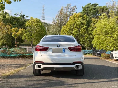 2015 BMW X6 xDrive35i Luxury Model, фото 3, лот 10237482
