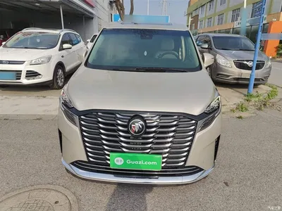 2023 Buick GL8 ES Landmaster Exclusive, фото 3, лот 10262375