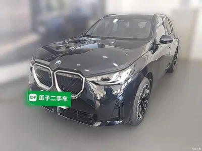 2025 BMW X3 xDrive30L Premium M Sport Package, фото 1, лот 10461937
