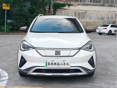 2020 Sehol E20X Voice Edition, фото 2, лот 11184039