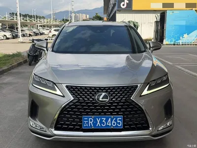 2020 Lexus RX 300 AWD Elegance Edition China V, фото 2, лот 10571036