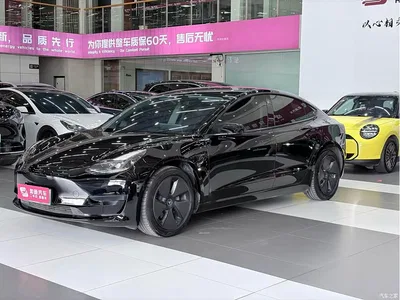 2021 Tesla Model 3 Standard Range Rear-Wheel Drive Upgrade 3D6, фото 1, лот 11569005