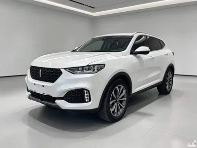 2018 WEY VV6 2.0T 2WD Super Luxury China V, фото 1, лот 10886747