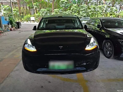 2023 Tesla Model Y Rear-Wheel Drive Edition, фото 3, лот 11448972