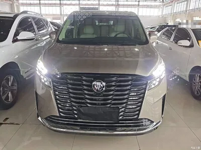 2023 Buick GL8 ES Landmaster Exclusive, фото 3, лот 10262104