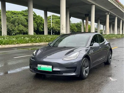 2020 Tesla Model 3 Standard Range Rear-Wheel Drive Upgrade, фото 1, лот 10354391