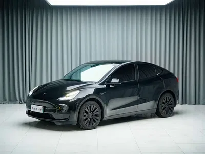 2024 Tesla Model Y Rear-Wheel Drive Version, фото 1, лот 11549316