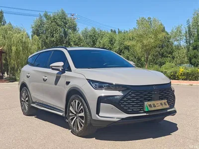 2026 BYD Tang New Energy Smart Drive Edition DM-i 160KM Premium, фото 3, лот 10273233