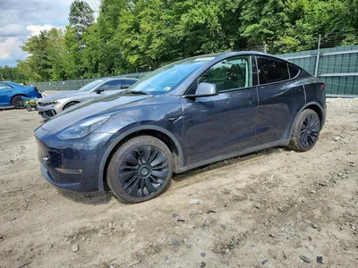 2024 TESLA MODEL Y, фото 1, лот 10854344
