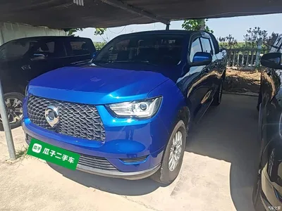 2019 Great Wall Pao 2.0T Commercial Version Automatic Gasoline 2WD Elite Long Box GW4C20B, фото 1, лот 10248884