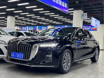 2025 Hongqi H5 1.5T DCT Flag Rhythm 500,000 Units Memorial Edition, фото 1, лот 10289130