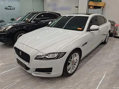 2020 Jaguar XFL 2.0T P250 4WD Premium Edition, фото 1, лот 10290353