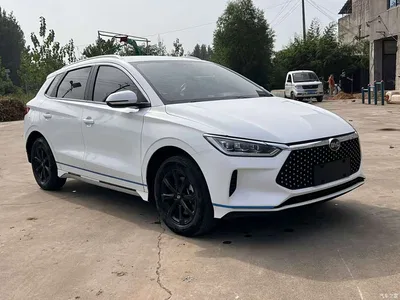 2021 BYD e2 Luxury Edition, фото 3, лот 11243739