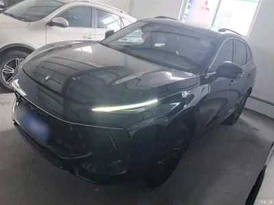 2021 Dongfeng Fengxing T5 EVO 1.5TD DCT Starlight Edition, фото 2, лот 11158822