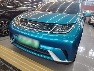 2021 BYD Dolphin Model 405km Fashion Edition, фото 1, лот 10264530