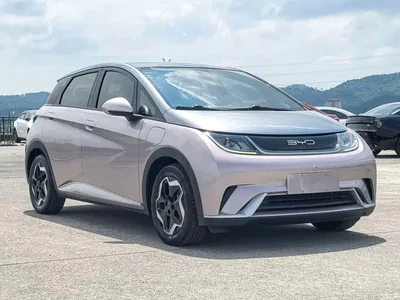 2021 BYD Dolphin Model 405km Fashion Edition, фото 3, лот 11136219