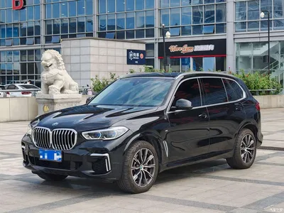 2022 BMW X5 Facelift xDrive 30Li Premium M Sport Package, фото 1, лот 10816709