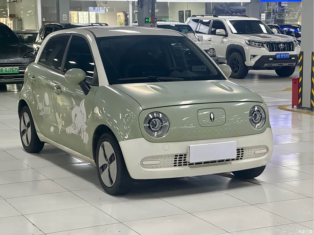 2021 Ora Black Cat 301km Pet Edition, фото 3, лот 11216583
