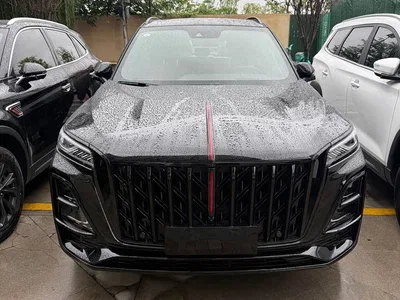 2025 Hongqi HS5 2.0T AWD Mystic Shadow Edition, фото 1, лот 10818666