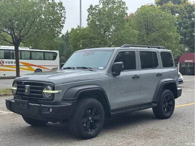2021 Tank 300 Off-road Version 2.0T Conqueror, фото 1, лот 11557657