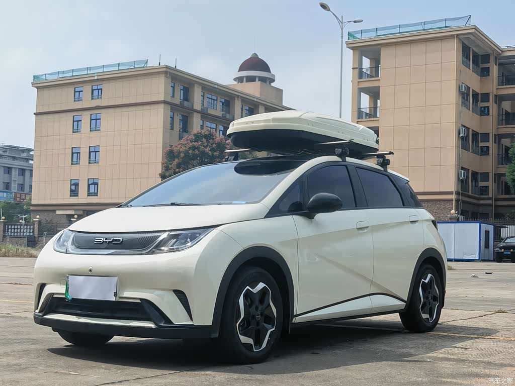2021 BYD Dolphin Model 405km Fashion Edition, фото 1, лот 11222418