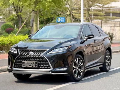 2020 Lexus RX Facelift 300 AWD Elegance Edition, фото 1, лот 10314251
