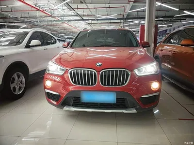 2018 BMW X1 sDrive18Li Premium Model, фото 3, лот 10467697