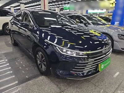 2024 BYD Destroyer 05 Glory Edition DM-i 55KM Luxury, фото 4, лот 10826120