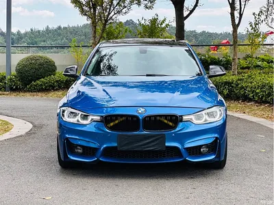 2017 BMW 3 Series 320Li M Sport, фото 2, лот 11211184