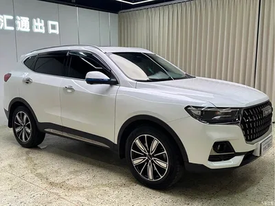 2023 Haval H6 National Trend Edition 1.5T Automatic Champion, фото 3, лот 10281993