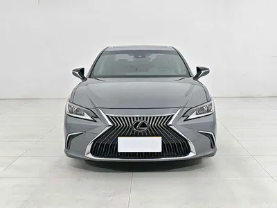 2018 Lexus ES 200 Excellence Edition China V, фото 3, лот 10310737