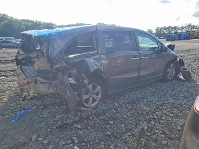 2019 HONDA ODYSSEY, фото 3, лот 10663841