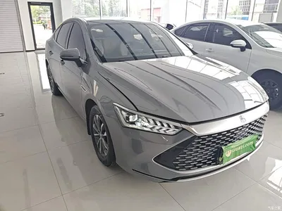 2024 BYD Qin PLUS Glory Edition DM-i 55KM Leading, фото 4, лот 11562611