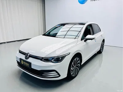 2023 Volkswagen Golf 280TSI DSG Pro, фото 1, лот 10450830