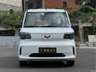 2025 Wuling Motors Wuling Zhiguang NEV Model Comfort, фото 2, лот 10835436