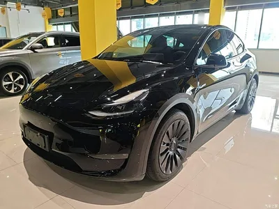 2021 Tesla Model Y Standard Range Rear-Wheel Drive, фото 2, лот 10369965