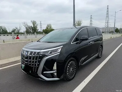 2024 Denza D9 DM-i 980 AWD Premium, фото 1, лот 10345693