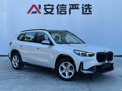 2023 BMW X1 sDrive20Li X Design Package, фото 3, лот 10466818
