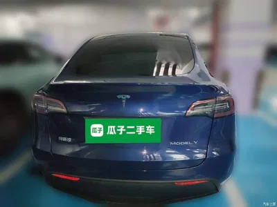 2022 Tesla Model Y Rear-Wheel Drive Version, фото 3, лот 10391113