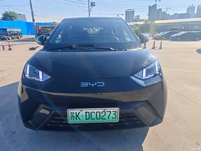 2023 BYD Seagull Flying Edition, фото 2, лот 10257519